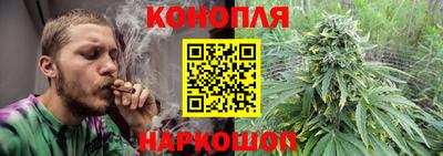 СК Будённовск