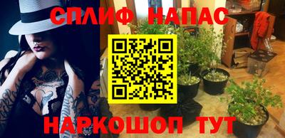 СК Будённовск