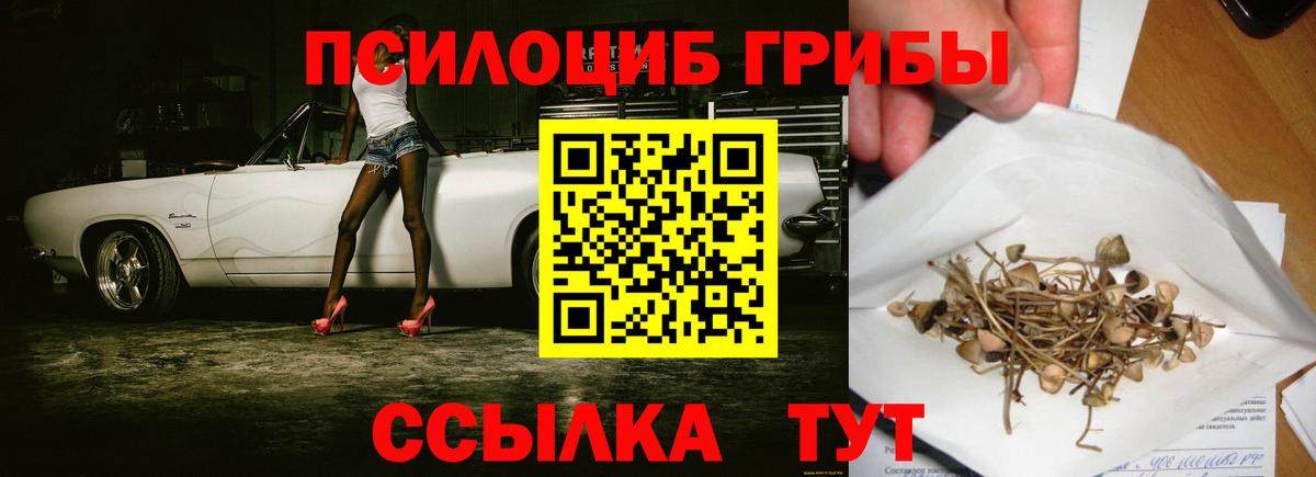 Галлюциногенные грибы Magic Shrooms Мытищи